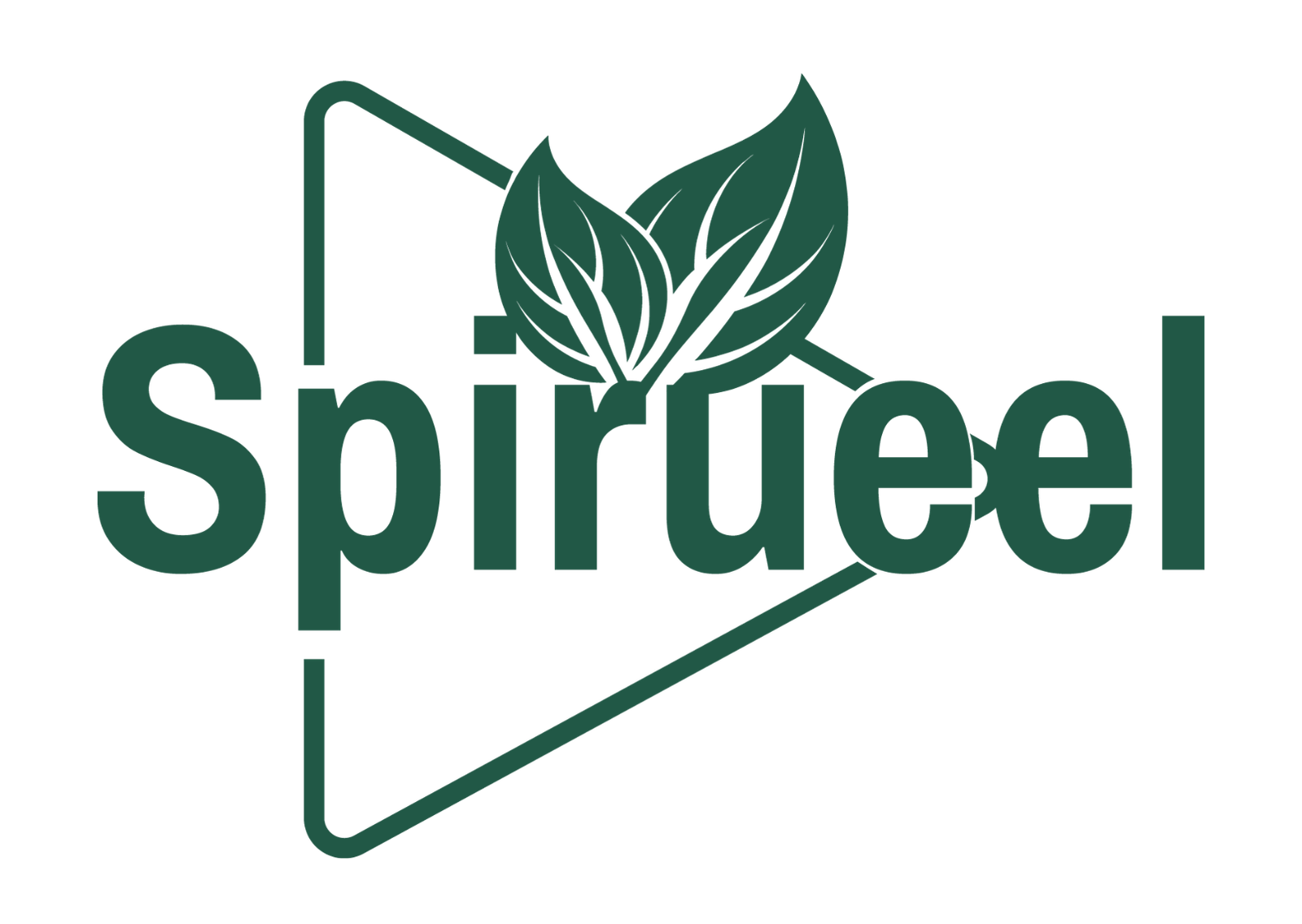 Spirueel: Quick Spirulina Meals for Busy Lifestyles